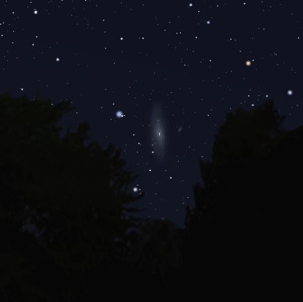 Andromeda-Galaxie am Abendhimmel