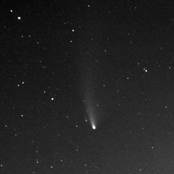 Bild vom Komet Neowise